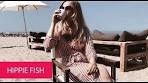 HIPPIE FISH - NETHERLANDS, ZANDVOORT - YouTube
