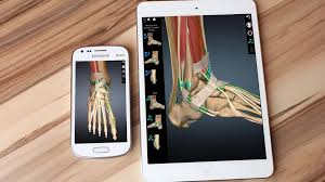 Once you found it, type complete anatomy platform 2020 in the. Top 30 Free And Essential Anatomy And Radio Anatomy Android Apps For Medical Students And Doctors