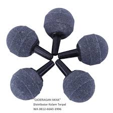 Promo Hp Wa 0856 4752 0664 Jual Kolam Terpal Di Malang Jual Terpal Kolam Di Malang Kolam Beri Probiotik