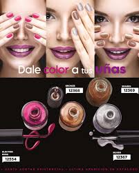 Scentia Centroamérica