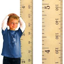 Buy Growth Chart Art Hanging Wooden Height Growth Chart To