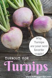Adding Turnip Greens Or Roots For A Unique Garden Vegetable Garden Tips Organic Gardening Tips Organic Vegetable Garden