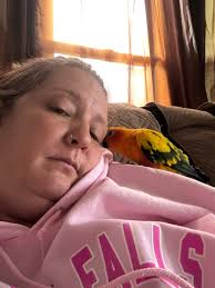 My petrie and Littlefoot have been missing almost a month from Loch  Sheldrake area please I'd u found them I miss them dearly