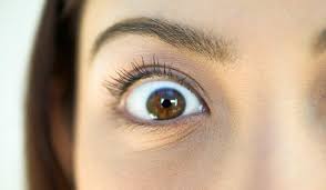 Check spelling or type a new query. Pourquoi J Ai La Paupiere Qui Tremble Les 4 Raisons Possibles Et Nos Solutions Pour Que Ca S Arrete So Busy Girls