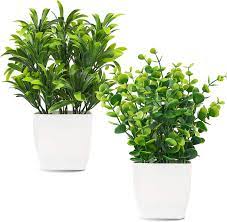 A very cute flowerpot for flower. Buy Whonline 2pcs Artificial Mini Potted Plants Fake Plastic Eucalyptus Leaves Plants For Home Office Desk Room Greenery Decoration Online In Vietnam B0869klx5w