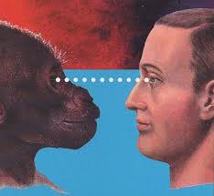 atti Viareggio 2.pmd