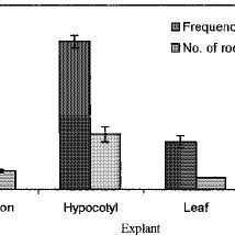 Image result for Rauvolfia nana