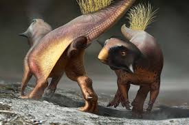 Haz tu selección entre imágenes premium sobre dinosaur de la más alta calidad. Descubren Como Era El Ritual De Apareamiento De Los Dinosaurios National Geographic En Espanol
