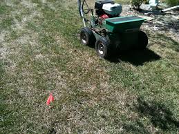 You can also plan to apply fertilizer after a certain time later from the overseeding on your lawn. So You Want Your Yard Back Aerate Vs Verticut Overseed Hometown