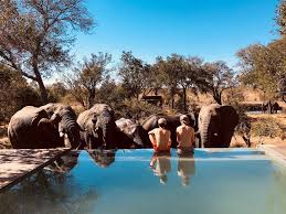 Cheap kruger national park hotels. Honeyguide Tented Safari Camps Montobeni In Kruger National Park Hotel Rates Reviews On Orbitz
