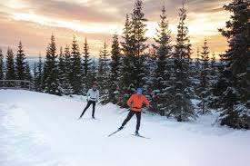 As a way to take a relaxing sunday afternoon glide through beautiful scenery with breaks at enchanting buvettes or. The Best Cross Country Skis And How To Choose Them Gearjunkie