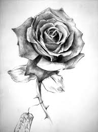 Cute drawings for your boyfriend google search artsketches. Black And White Rose Tattoo Drawing Tattoo Designs Ideas