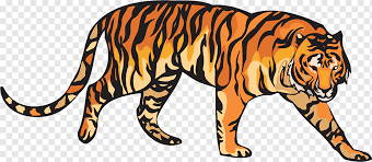 Nah, gambar harimau yang akan kita tampilkan di sini hanya 6 subspesies harimau yang masih hidup hingga saat ini. Lion Sumatran Tiger Embroidery Tiger Mammal Cat Like Mammal Animals Png Pngwing