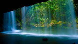 Here are only the best 4k nature wallpapers. Free Download Nature Backgrounds Windows Desktop Wallpapers Hd 4k High 1920x1080 For Your Desktop Mobile Tablet Explore 76 Free Windows Desktop Wallpaper Windows 10 Wallpapers Hd Windows Wallpaper For