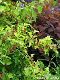 We did not find results for: Pin On Garden Ideas