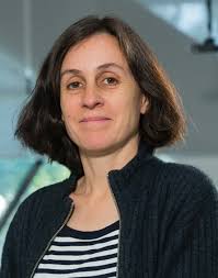 Committee — APMC 2025