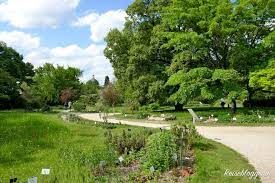 +43 732 7070 / wochenende und feiertage: Der Botanische Garten In Wien Eine Oase Mitten In Der Stadt