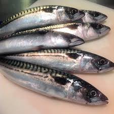 Fatevi aiutare dal vostro pescivendolo di fiducia nella scelta degli pesci più freschi e se non siete pratici nella pulizia potete acquistare il pesce già eviscerato. Ricetta Sgombro Sott Olio