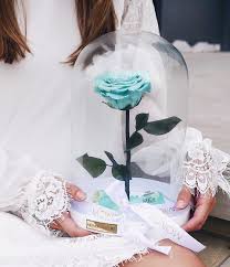 strophe 2 schuldig, ja ich hab' gelogen hab' sie vielleicht auch mal betrogen doch bei jedem kuss auf fremde lippen hab' ich. Die Ewige Rose In Turkis Das Perfekte Frauen Accessoires Zum Weissen Kleid Und Fur Ein Sommerliches Hochzeits Rosen Im Glas Die Schone Und Das Biest Farbe Rose