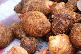 We did not find results for: How To Grow Taro Harvest To Table