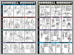 Details About Dumbbell Workout Dumbells Free Weights Pro Fitness Wall Charts 2 Poster Set