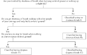 Flowchart For Dyspnea Grades Download Scientific Diagram