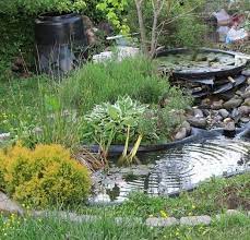 They can be kept below the water's surface by attaching them to a rock or putting them in a plant pot and adding weight until it sinks. Wildlife Pond Maintenance Guide Cleaning Advice Pond Informer