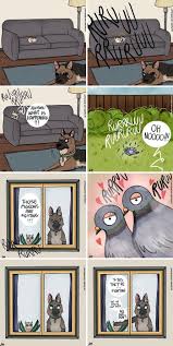 Comics Adventures Dogs Pixie Brutus Fan Art Funny Animal Comics Cute Funny Cartoons Cute Comics