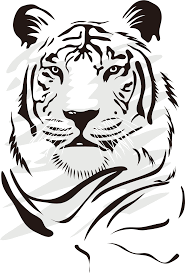 Ilustración de marco negro y gris, gráfico de líneas de papel cuadriculado papel rayado, cuadrícula cuadrada negra, textura, ángulo, blanco png. Drawing Tigers Vector Dibujos De Tigres Blanco Y Negro Clipart Full Size Clipart 878560 Pinclipart