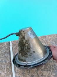 Light Bulb Replacement Trouble Free Pool