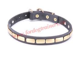 Home made decorative dog collar instructions by chiara. 34 2