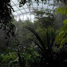 masoala zurich the places you will go gardening plants geodesic dome