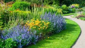 This collection of sun loving plants will thrive in full sun, meaning the plant should receive unfiltered sunlight for at least six hours a day. 15 Best Plants For West Facing Gardens Enjoy The Afternoon Sun Plantophiles