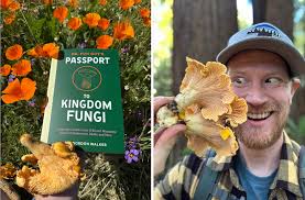 Passport to Kingdom Fungi' (and Much More Mycellium) at Santa Cruz Mountain  Mushroom Festival