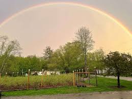 Image result for tbn:0PJB32OL7JwfOM::farm4.static.flickr.com/3324/3329876139_f2d551139f.jpg