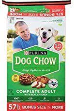 The Worst Dry Dog Foods 7 Brands To Avoid Daily Dog Stuff Dog Food Recipes Purina Dog Chow Dry Dog Food