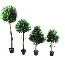 We did not find results for: High Simulated Potted Tree Artificial Sweet Bay Tree Laurel Leaves Eco Friendly Natural Indoor Decoration Fake Tree On Sale Buy Artificial Plants Laurel Leaves Artificial Sweet Bay Tree Product On Alibaba Com