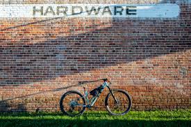 Image result for Orbea knobelii