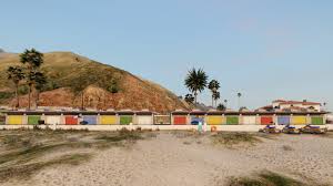 Adrian Jonas Haim — NEWS — MILAN MACHINIMA FESTIVAL