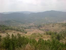 Bukit Pinus Pentulu Indah Dunia Dalam Sepasang Lensa Datang saja curug wringin yang terletak di desa pujotirto, kecamatan karangsambung, kebumen, jawa tengah. bukit pinus pentulu indah dunia dalam