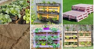 We did not find results for: 11 Tips To Make The Most Of Your Pallet Garden