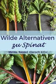 Mangold Melde Und Co Alternativen Zu Spinat Aus Dem Garten Spinat Spinat Gerichte Mangold