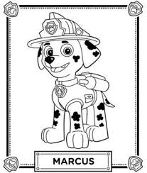 Coloriages La Pat Patrouille Puzzle Activite Coloriage Pat Patrouille Marshall Paw Patrol Et Livre De Couleur