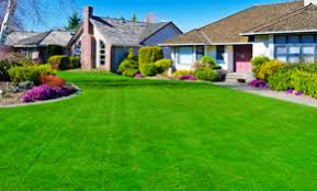 Business management equipment lawn and landscape maintenance lawn care fertilizers and pesticides landscape design & installation irrigation & water management pictures & videos tree care special & related topics sponsor forums. Top 10 Best Lawn Care Services In Chesapeake Va Angi Angie S List