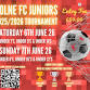⚽️COLNE FC JUNIORS TOURNAMENT 2026⚽️ event image