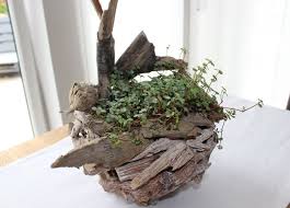 Naturlich Dekorieren Tischdeko Naturlich Dekorieren Deko Holz Schwemmholz