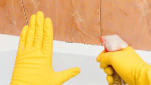 Bleach can also fade away stains left on clothes by mold. How To Remove Mold And Mildew From Walls Clothes And More