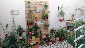 floristeria y regalos aspromanis