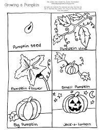 Growing A Pumpkin Jpg 1 236 1 600 Pixels Kindergarten Worksheets Preschool Worksheets Kindergarten Worksheets Printable