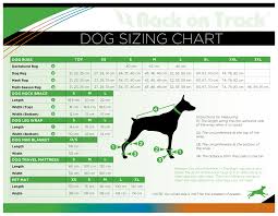 37 Symbolic Green Dog Clothing Size Chart